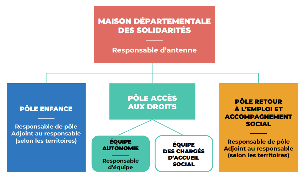 Organigramme des Maisons départementales des solidarités