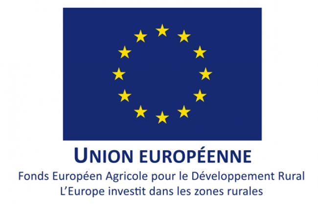 Nos Projets Soutenus Par L'Europe | Département Des Deux-Sèvres