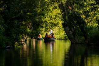 coulon marais poitevin